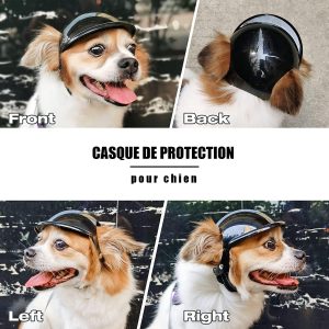 Casque pour chien