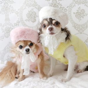 Béret polaire pour chien