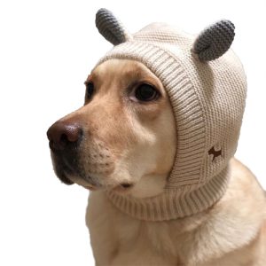 Chapeau capuche tricoté pour grand chien